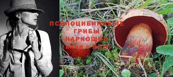 MDMA Кукмор