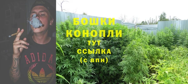 ECSTASY Краснослободск
