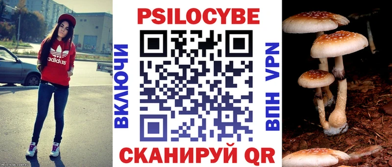 Псилоцибиновые грибы Psilocybine cubensis  Шацк 